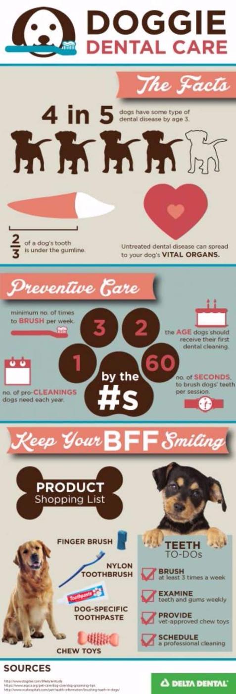 DIY Dog Grooming Tutorials - Doggie Dental Care - Cool and Easy Ways to Wash, Groom and Style Your Pets Fur - Trim Toenails, Brush Teeth, Bath, Trim and Clip Dogs Fur - Hair - Remo