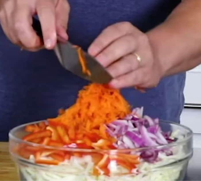 Easy to Make Tangy Vinegar Coleslaw