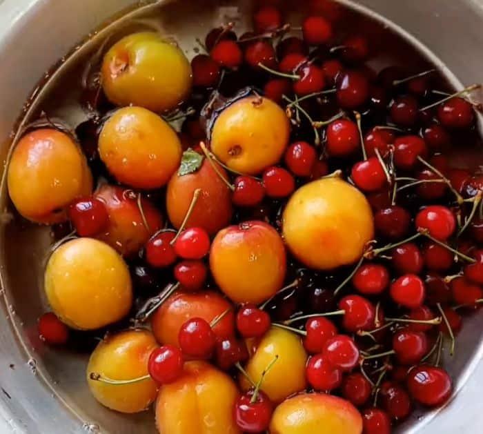 The Secret of Keeping Fruits Fresh for 12 Months Tricks