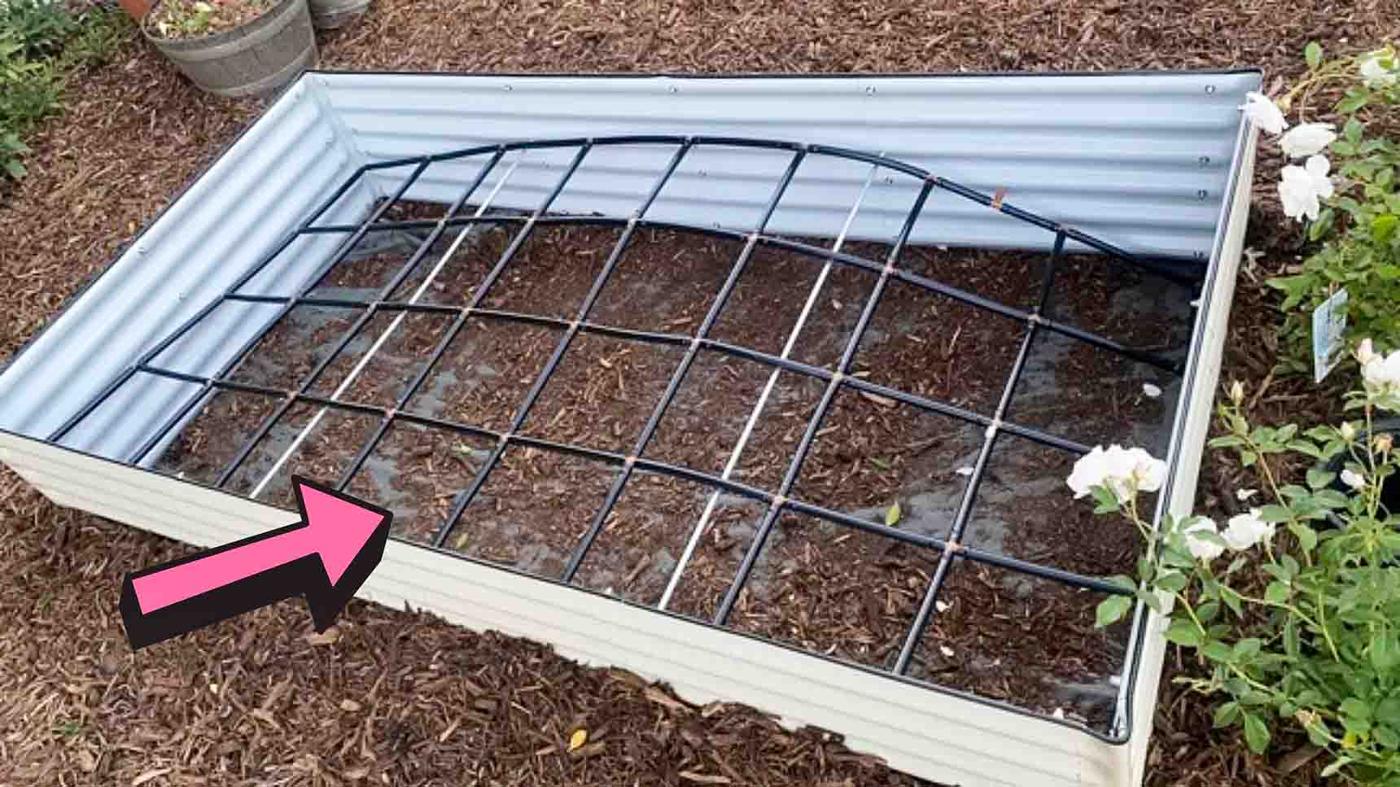 5 Spring Gardening Mistakes to Avoid