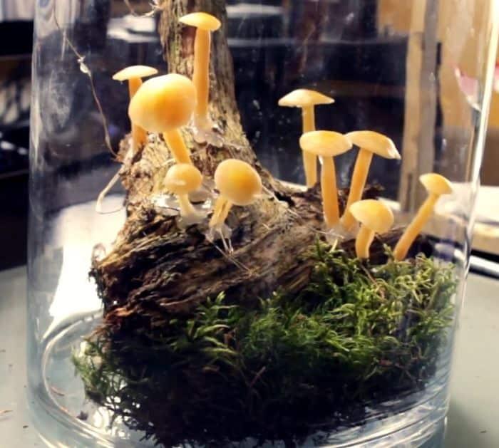 DIY Glowing Mushrooms Easy Tutorial