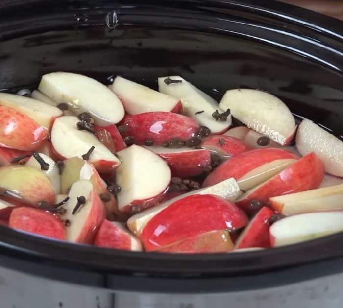 Easy Crockpot Apple Cider Ingredients