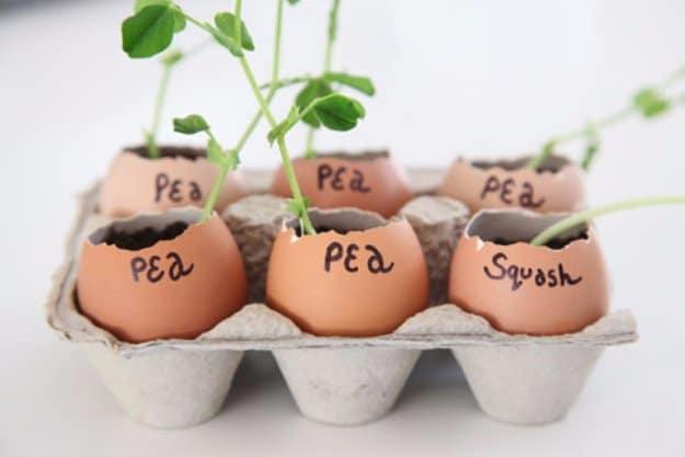 Eggshell Garden Seed Starters, an easy weekend project for the yard and a budget friendly way to dress up a flower bed