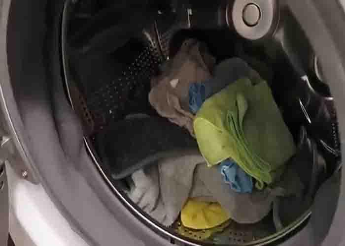 Using 1/2 cup white vinegar instead of fabric softener