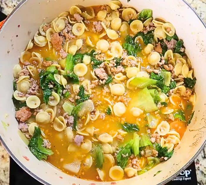 Easy Stovetop One-Pot Meat and Pasta Recipe