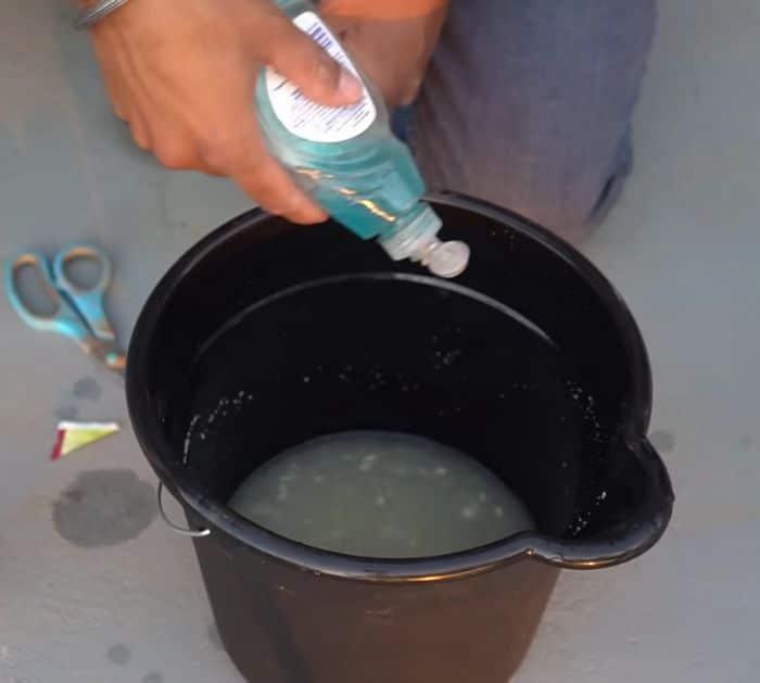 Easy to Make DIY Mosquito and Larva Trap