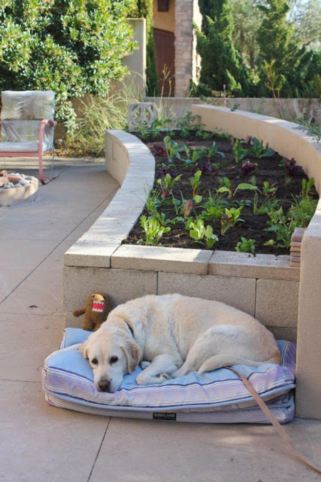 DIY Concrete Vegetable Garden, one of the best raised garden bed ideas on this list and a clever idea worth trying at home
