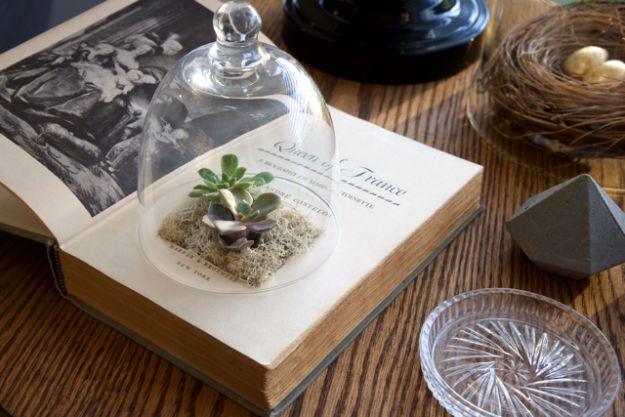 Last Minute Christmas Gifts - Succulent Book Planter - Quick DIY Gift Ideas and Easy Christmas Presents To Make for Mom, Dad, Family and Friends - Dollar Store Crafts and Cheap Hom