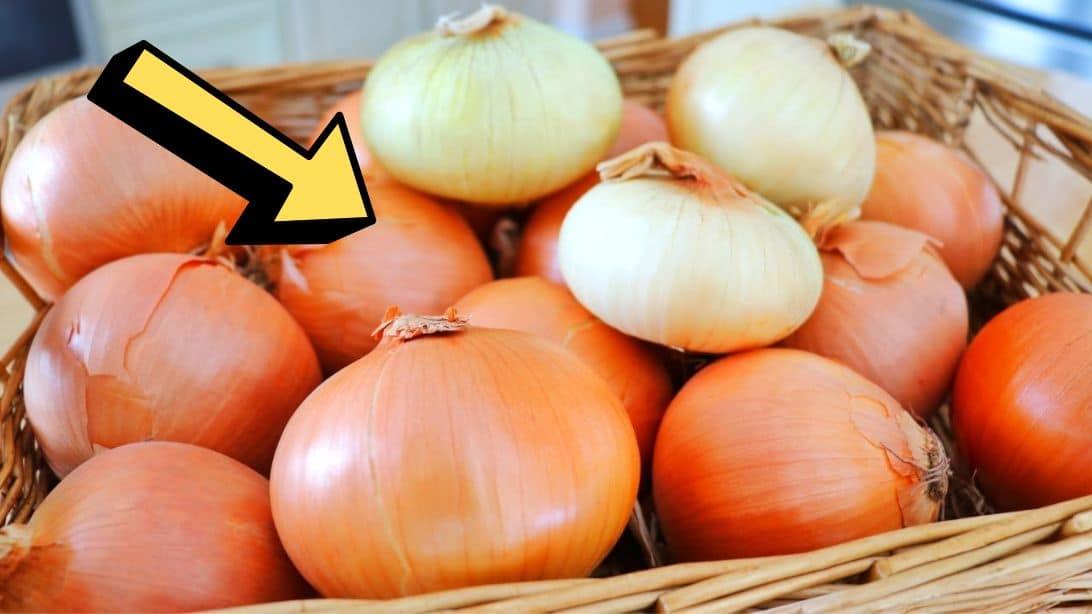 How To Store Onions & Keep Them Fresh For 1 Year