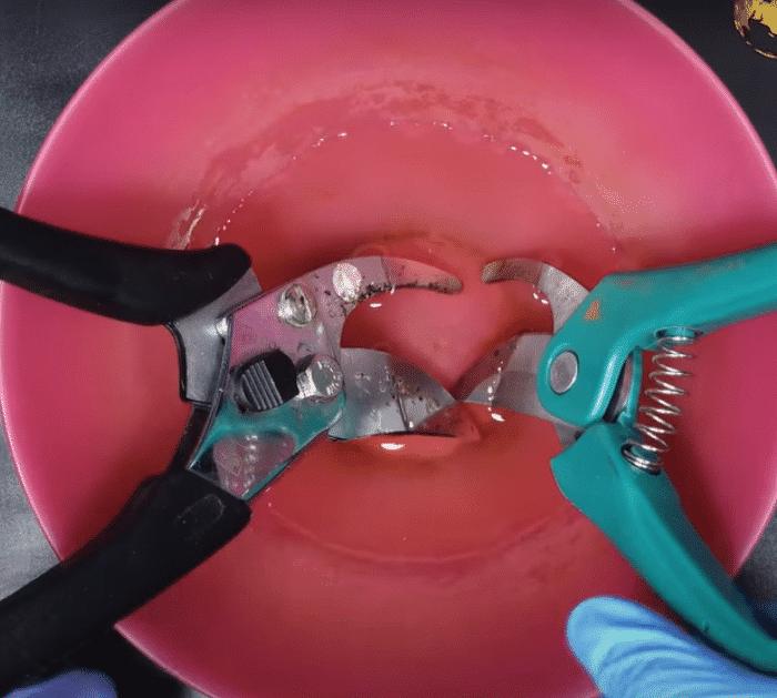 How to Correctly Use Hydrogen Peroxide in Your Garden tools