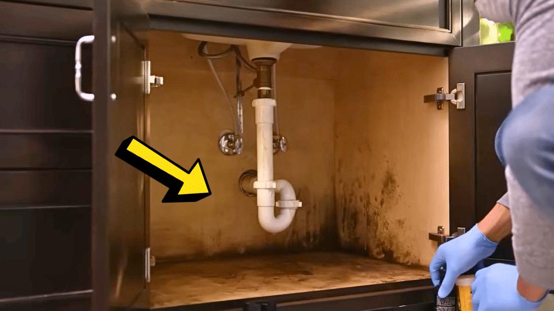 How to Get Rid of Mold (3 Easy Steps)