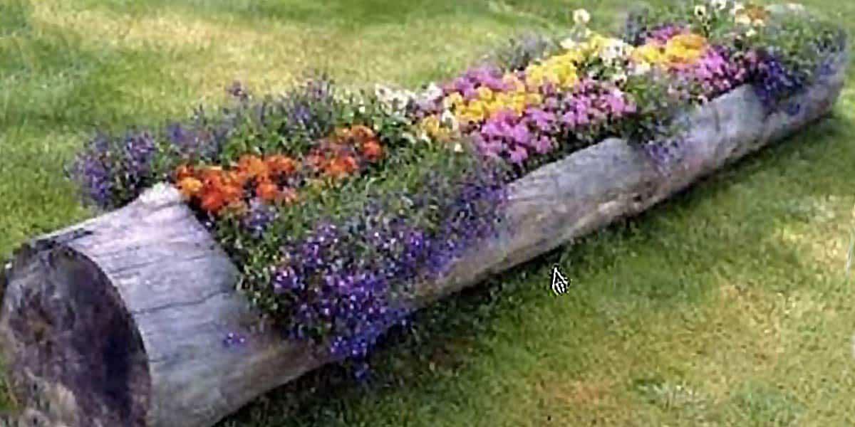 Transform An Old Log Into A DIY Backyard Planter