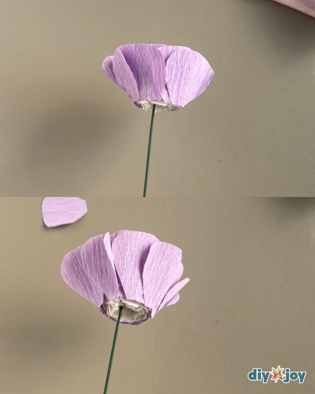 Paper Ranunculus — final layers