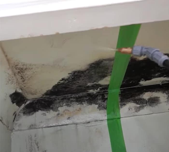 DIY Remove Mold From Wall and Ceilings - Use bleach or vinegar to remove and kill mold