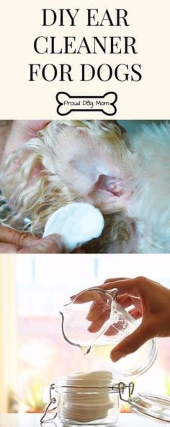 DIY Dog Grooming Tutorials - Ear Cleaner - Cool and Easy Ways to Wash, Groom and Style Your Pets Fur - Trim Toenails, Brush Teeth, Bath, Trim and Clip Dogs Fur - Hair - Remove Flea