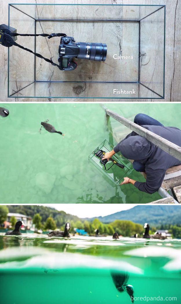 Fishtank underwater shot, a diagram of a camera inside a glass tank and the resulting split level photograph
