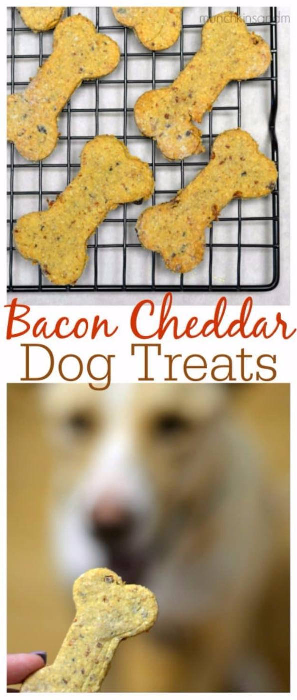 Bacon Cheddar Homemade Dog Treats, stored in the fridge for treats all week and satisfying to finish