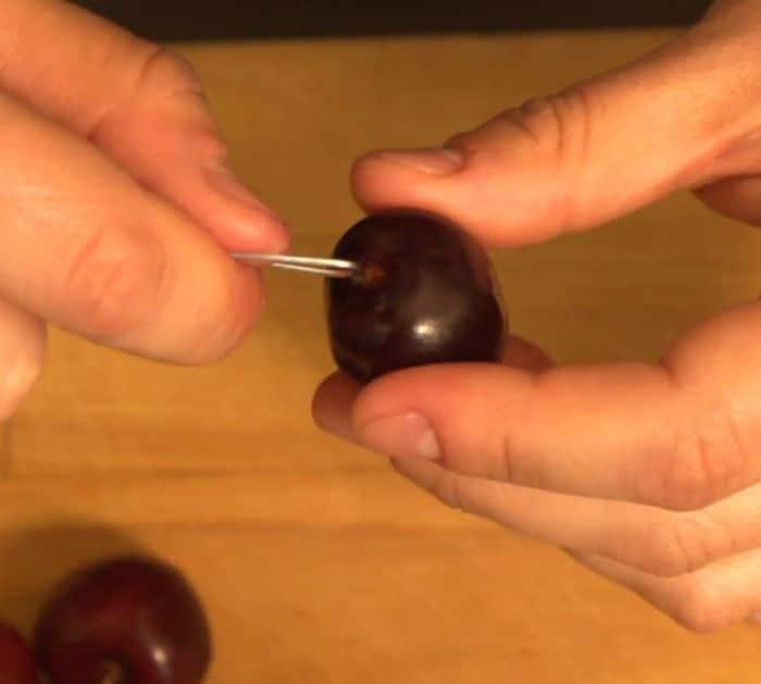 What You Need to Remove Cherry Seeds