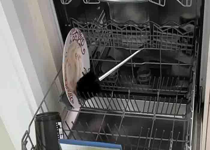 Avoid putting toilet brushes in the dishwasher