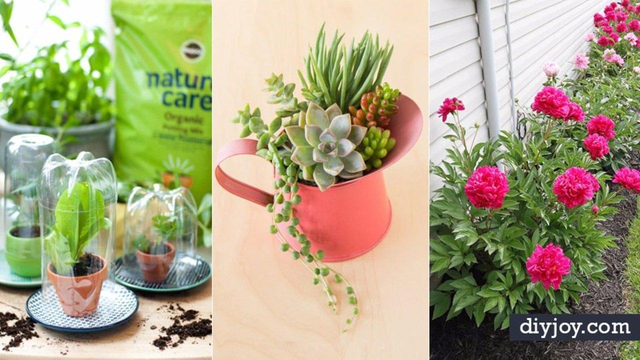 31 DIY Tips for Spring Gardening