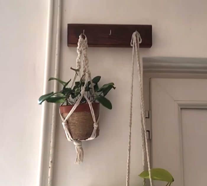 10 Hanging Plant DIY Hack for Renters s-hooks