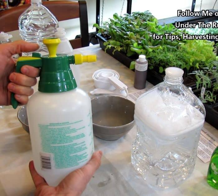 How to Make Soapy Water Garden Insect Spray Ingredients