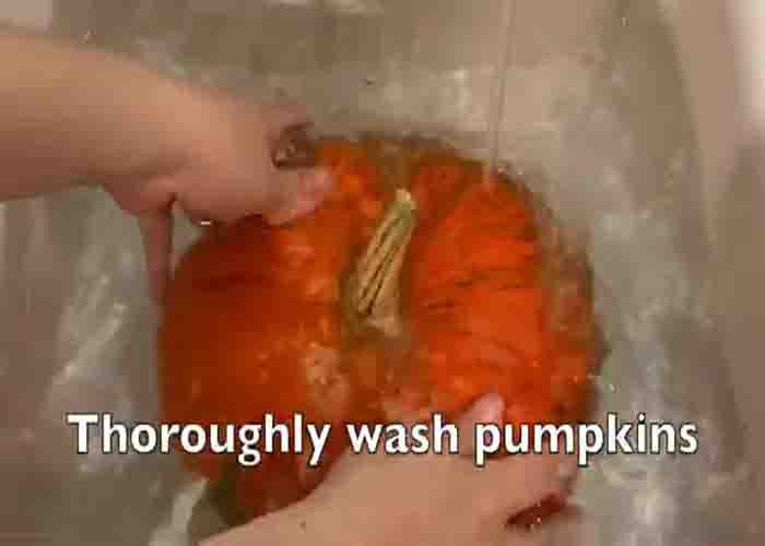 Washing the decorative pumpkins thoroughly
