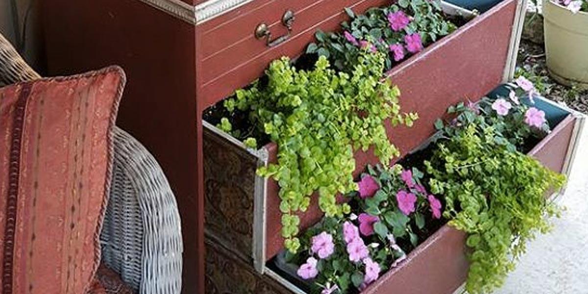 Repurposed Dresser Planters, a plant lover's easy upgrade, and charm that fits right into an existing room