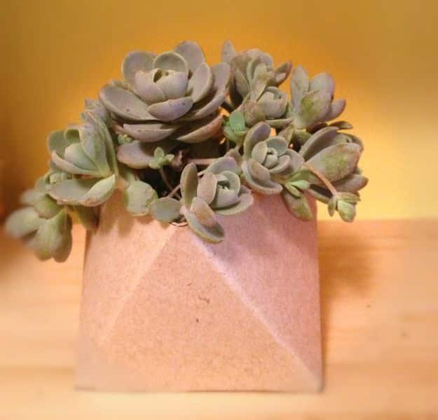 Geometric Succulent Planter, a creative way to reuse what you already have and a project worth trying this weekend