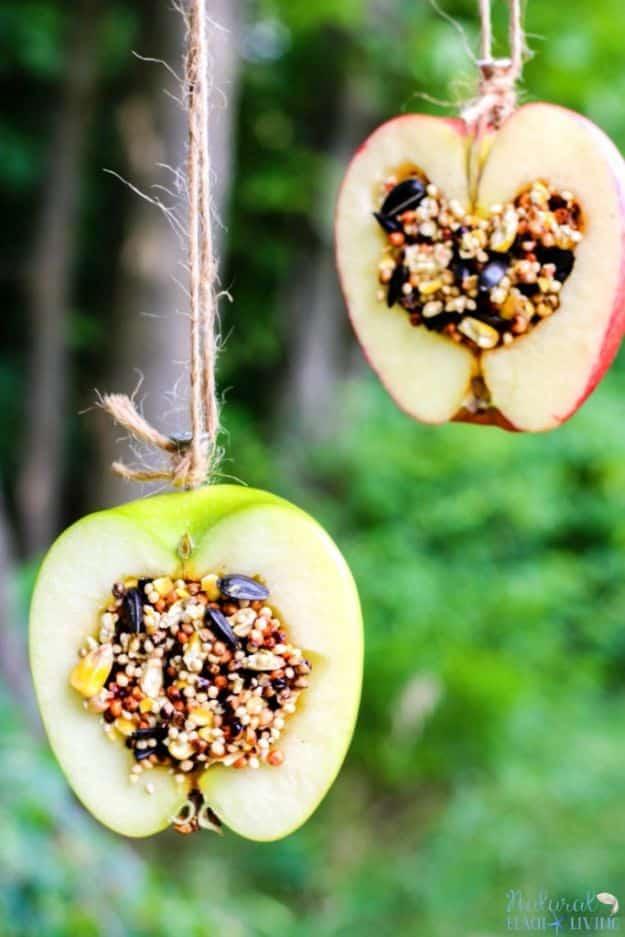 Two apple halves hollowed out and packed with birdseed, hung on jute twine against blurred green summer foliage