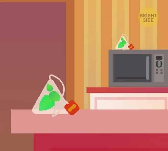 How To Get Rid Of Cockroaches Naturally