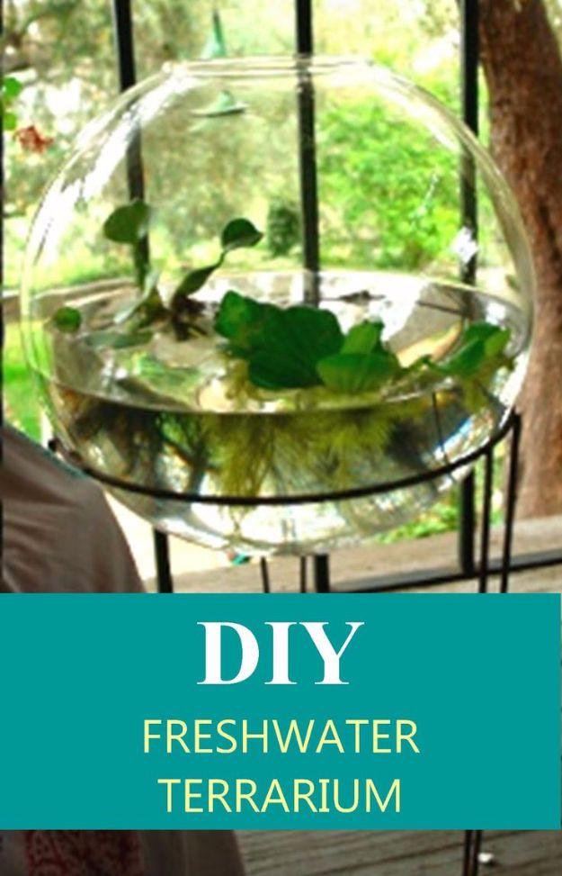 DIY freshwater terrarium, a round glass bowl of water and floating green pond plants on black hairpin legs by a window