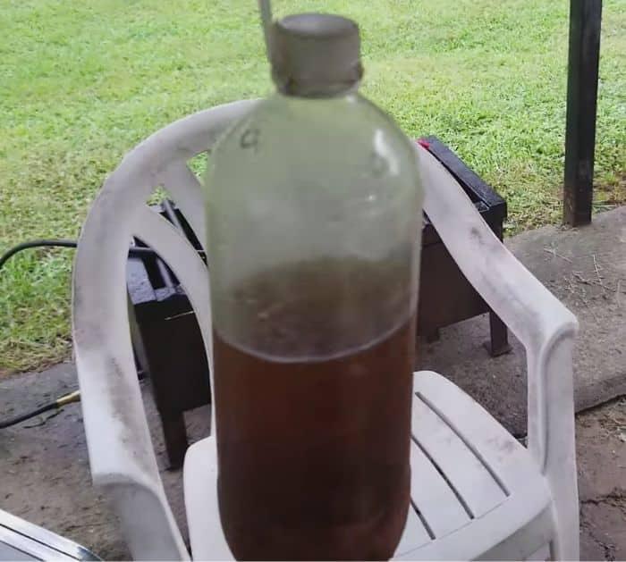 How To Make A Fly Trap