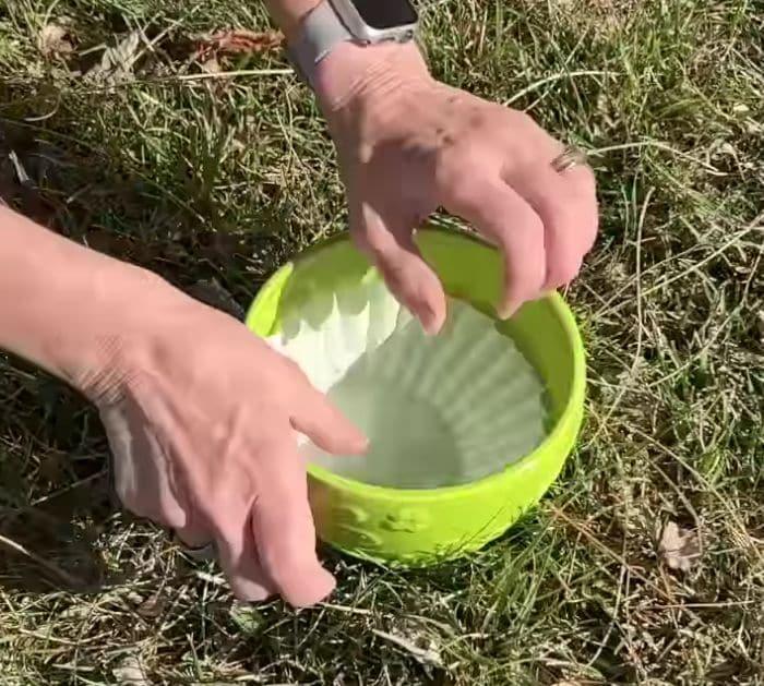 How to Make Gardening Easy for Beginners