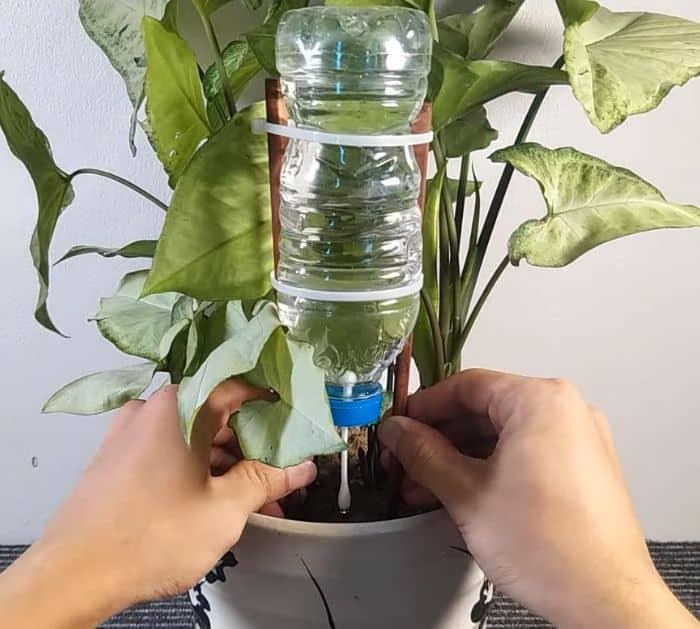 Easy DIY Drip Irrigation System Tutorial