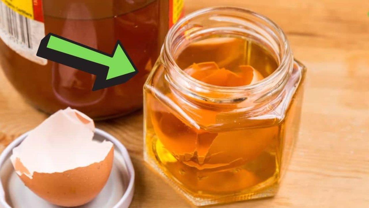 Why You Should Never Throw Away Eggshells