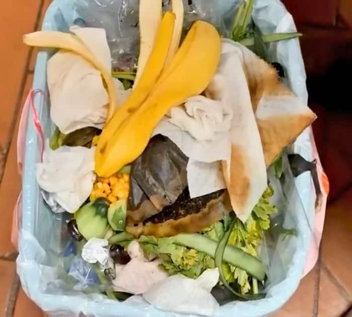 10 Simple Ways to Keep a Clean Home