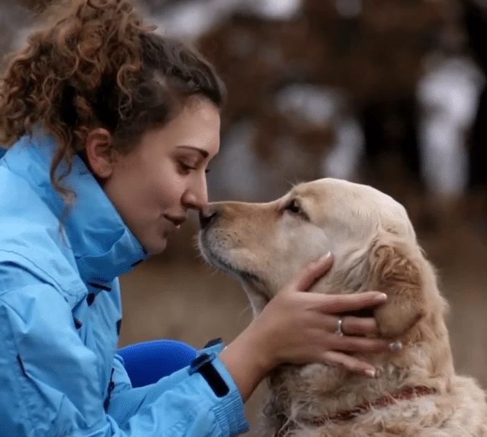How to Safely Remove Ticks from Dogs