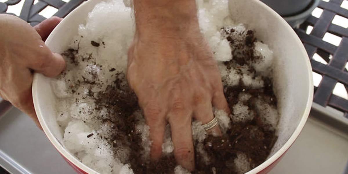 I Was Shocked When I Saw What He Mixed With Soil To Cut Plant Watering Times In Half!