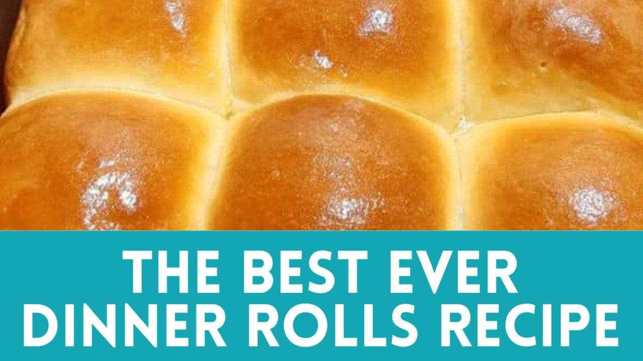 The Best Ever Dinner Rolls for Thanksgiving