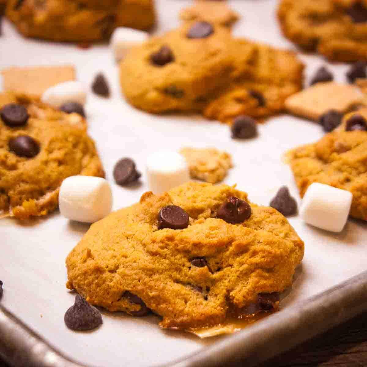 Orange pumpkin s'mores cookies with chocolate chips on a baking sheet surrounded by marshmallows and graham crackers