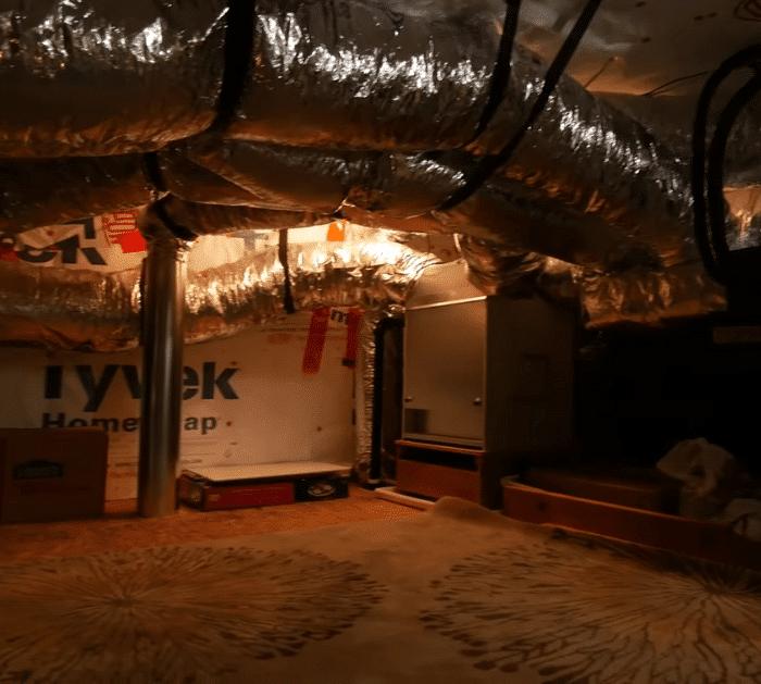How to Prevent and Remove Mold at Home Hacks
