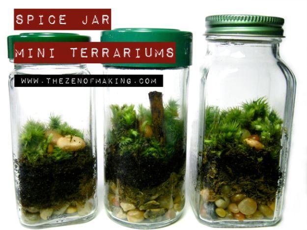 Spice jar mini terrariums, three glass spice jars with green and red lids holding pebbles moss and a small piece of bark