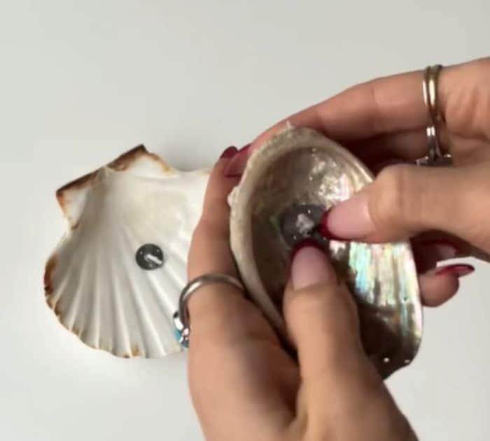 Woman Upcycled Seashells into Candles DIY