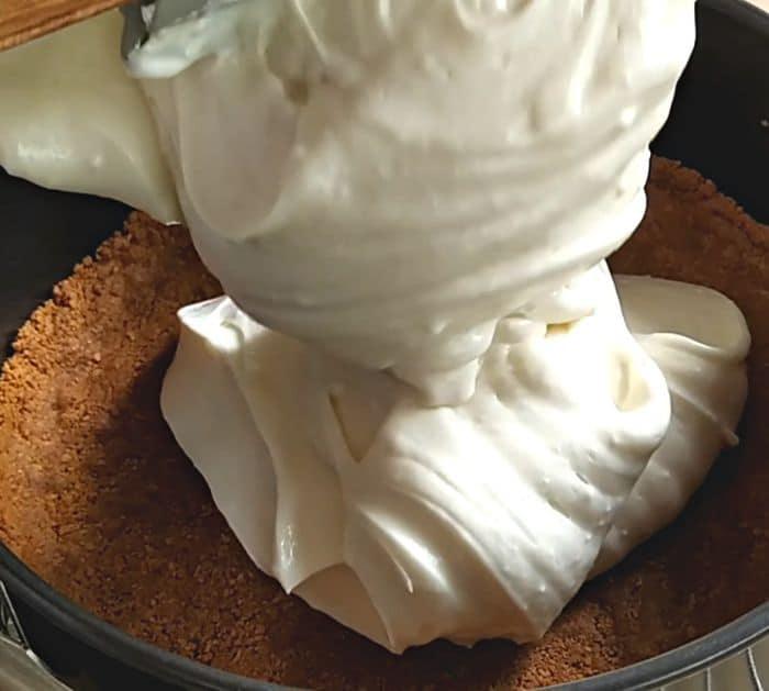 3 Ingredient Milk Cheesecake Instructions