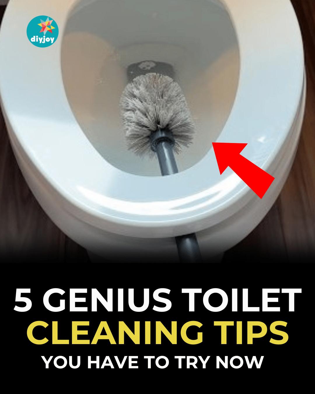 5 Genius Toilet Cleaning Tips