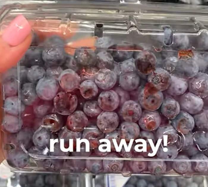 How to Pick The Freshest Berries
