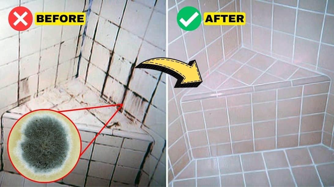 5 Proven Home Remedies to Get Rid of Mold for Good!