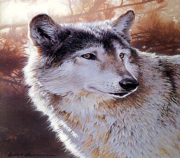 How to Paint a Wolf in Acrylic