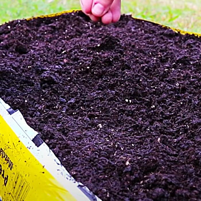 How To Grow Salad Greens All Winter Long - Easy Way To Grow Salad - How To Make A Mini Greenhouse